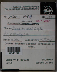Image Associated With the Occurence